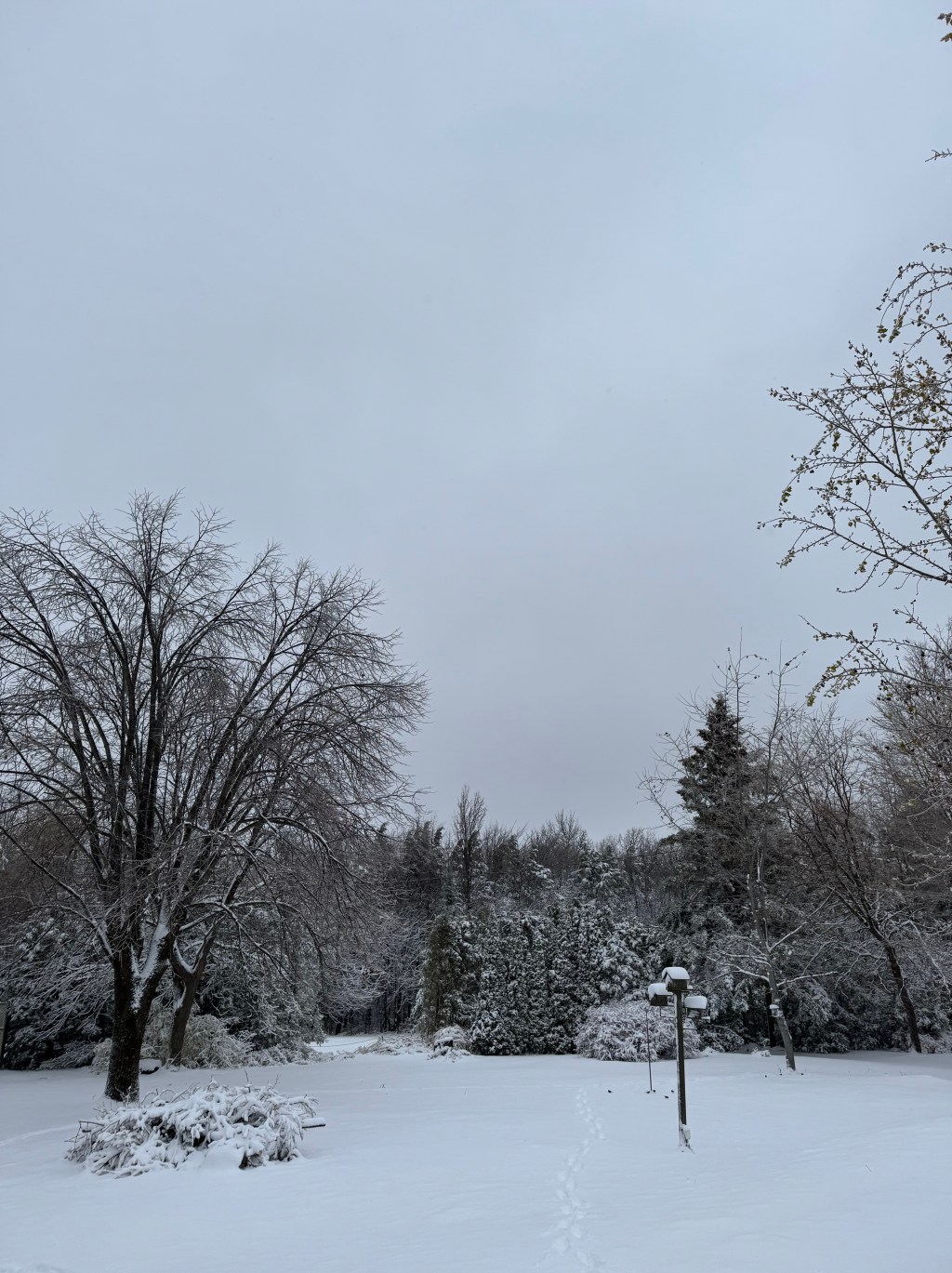 Another Black Friday Week is&nbsp;Here