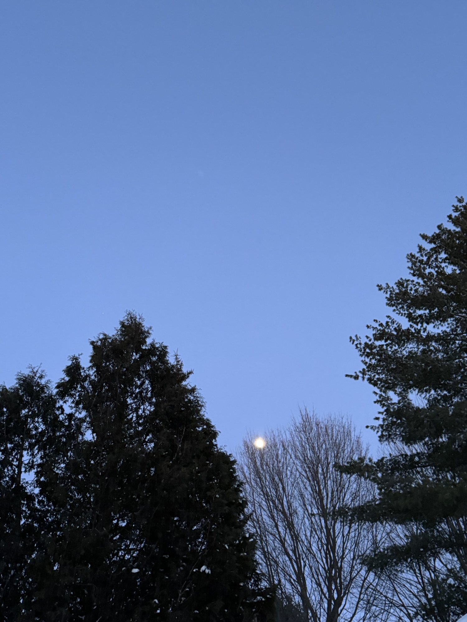 A Note for the New Year