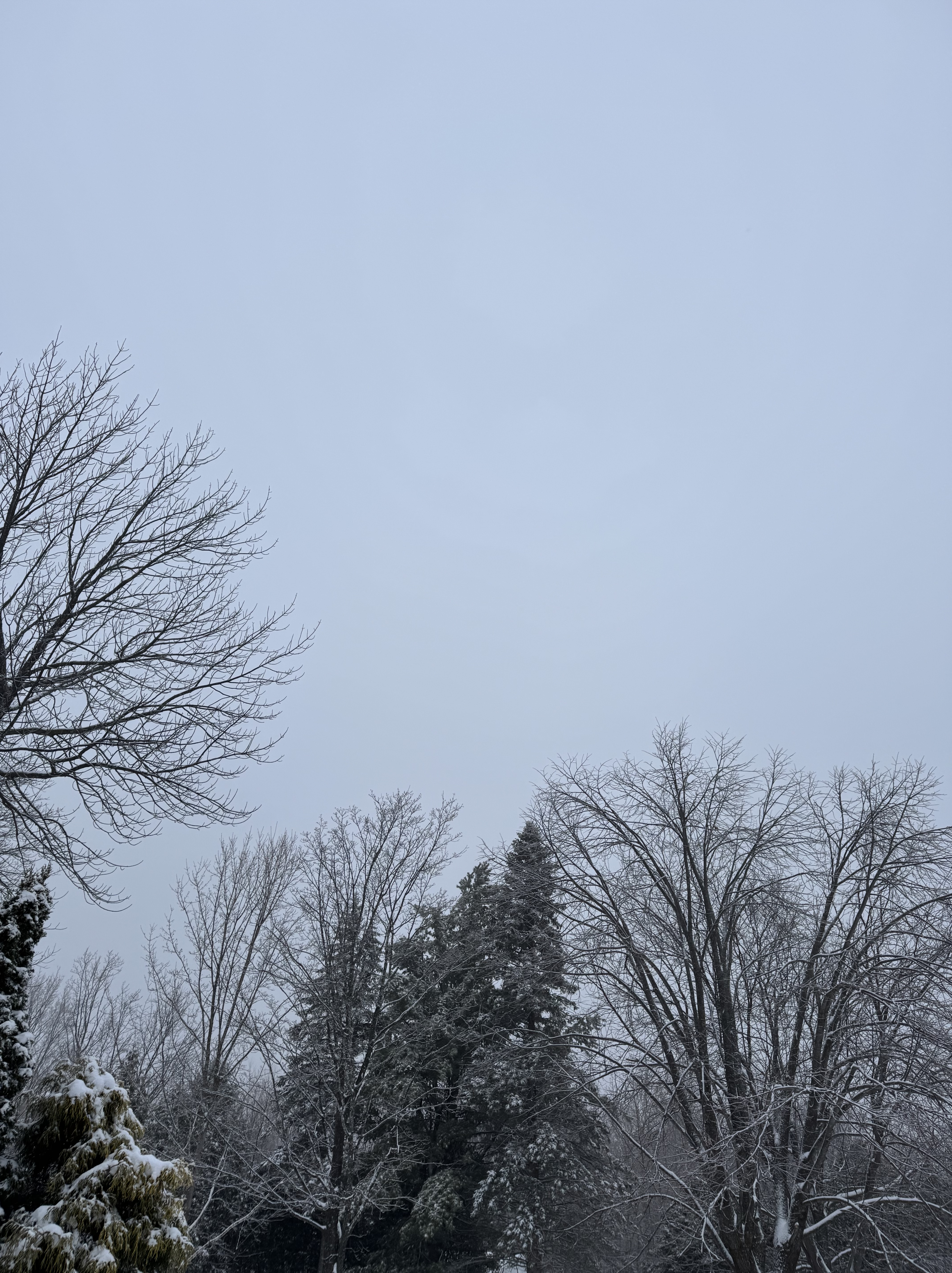 On Taking Time for Yourself (and Why I No Longer Apologize for It)