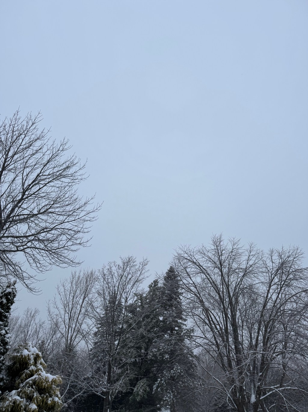 On Taking Time for Yourself (and Why I No Longer Apologize for&nbsp;It)